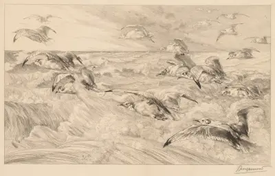 Seagulls (Les Mouettes) av Félix Bracquemond
