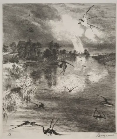 Swallows av Félix Bracquemond