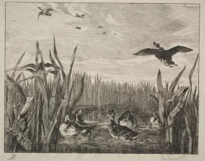 Teal av Félix Bracquemond