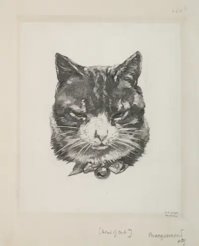 Kattens huvud av Félix Bracquemond