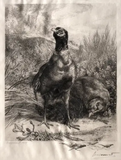 The Pheasants av Félix Bracquemond