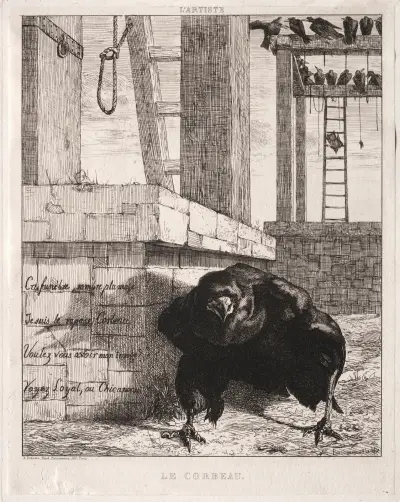 Korpen av Félix Bracquemond