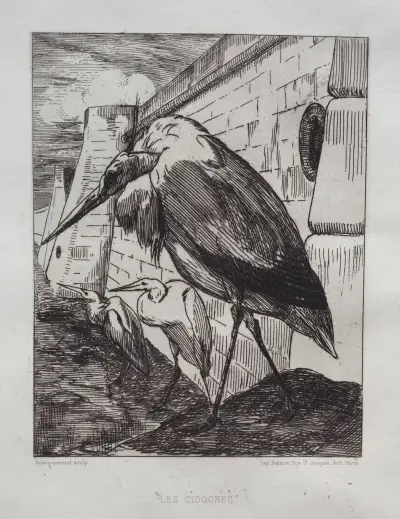 Storkarna av Félix Bracquemond