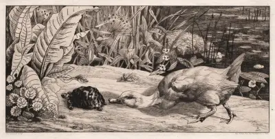 The Unknown av Félix Bracquemond