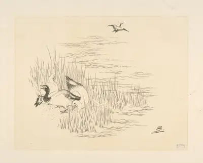 Trois canards et un quatrième qui vole. av Félix Bracquemond