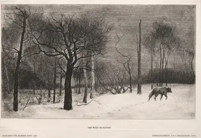 Vinter av Félix Bracquemond