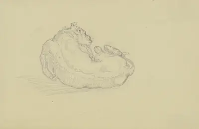 Liggande hund, som kliar sig i nacken med frambenet, sedd bakifrån av Ferdinand Fellner