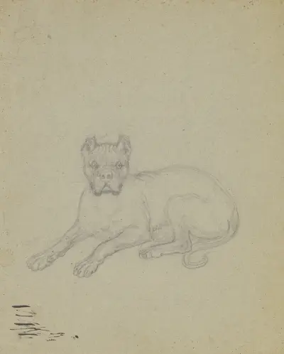 Liegender Hund von Ferdinand Fellner