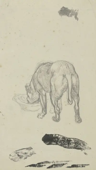 Liggande hund, sedd bakifrån av Ferdinand Fellner