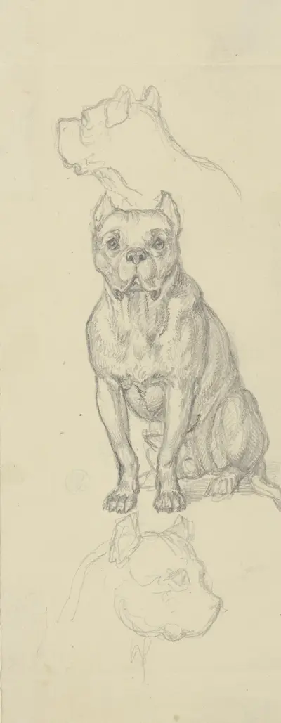 Sitting dog, en face av Ferdinand Fellner