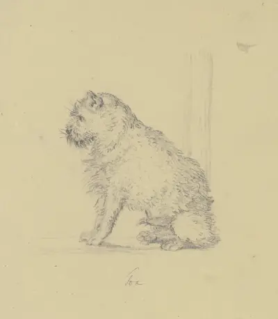 Sittande foxterrier mot vänster av Ferdinand Fellner