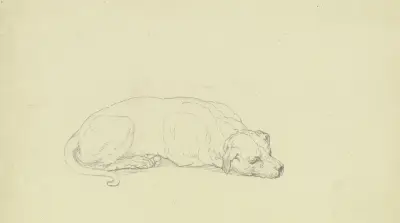 Sovande hund 2 av Ferdinand Fellner
