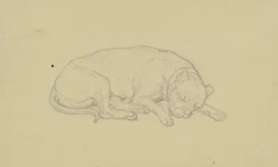 Sovande hund av Ferdinand Fellner