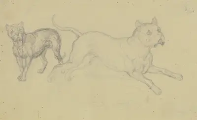 Stående hund som springer åt höger av Ferdinand Fellner