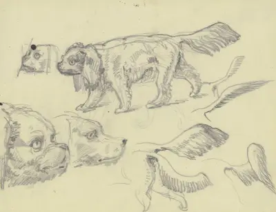 Studieblad; hundar av Ferdinand Fellner