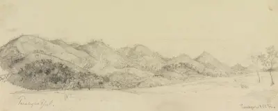 Ansicht Parahybapfad av Ferdinand Keller
