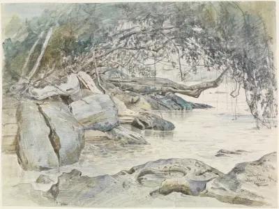Baumbestandenes Felsenufer am Parahyba av Ferdinand Keller