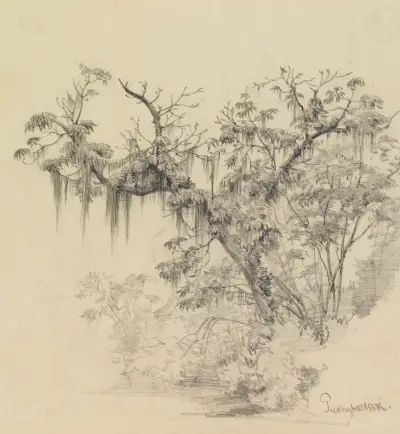 Trädstudie (med hängande växttrådar) av Ferdinand Keller