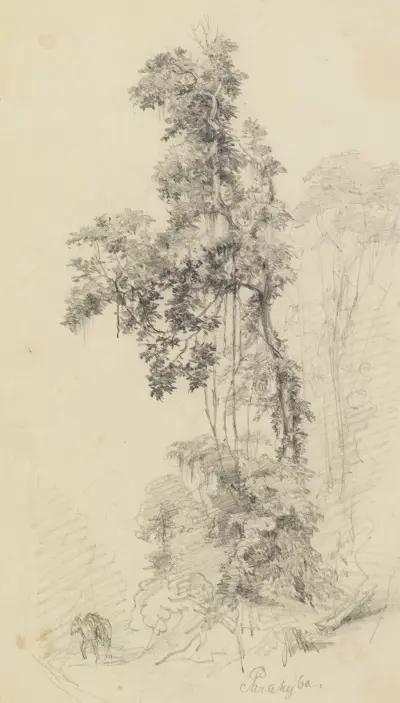 Trädstudie i urskogen med skissat lastdjur av Ferdinand Keller