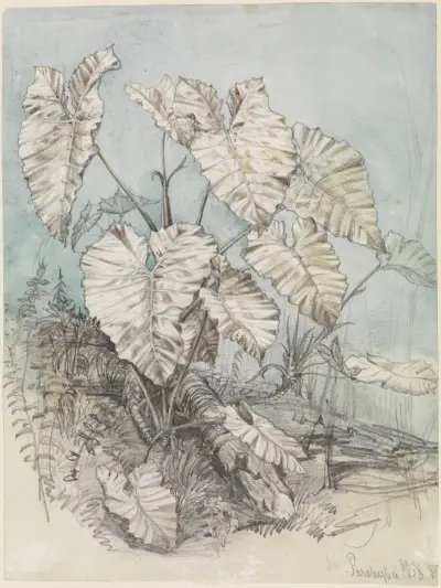 Blattgewächs im Urwald von Ferdinand Keller