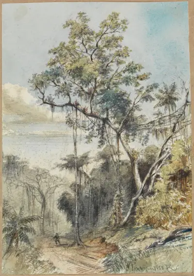 Färgstudie av träd i urskogen vid en stig av Ferdinand Keller
