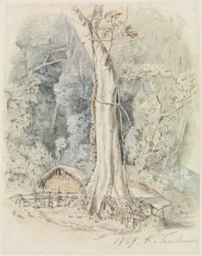 Haus mit Unterstand im Urwald bei Tres-Barras av Ferdinand Keller