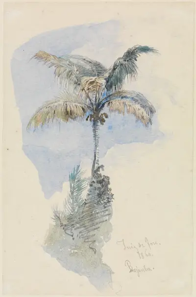 Palmenstudie av Ferdinand Keller