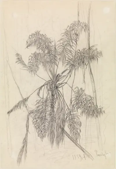 Palmenstudie av Ferdinand Keller