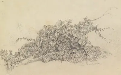 Studie; blad av en klängväxt av Ferdinand Keller