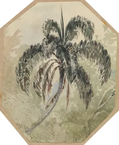 Studie av en palm i urskogen av Ferdinand Keller