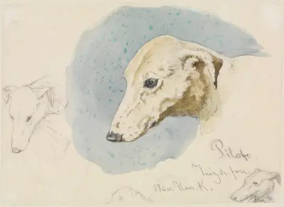 Studieblad med hundhuvuden av Ferdinand Keller
