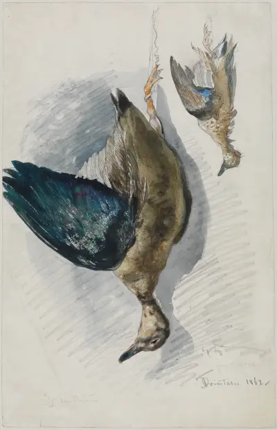 Två studier av en fågel av Ferdinand Keller