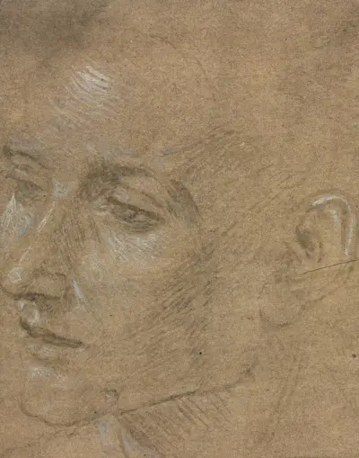 Head of a Young Man (second half 1400s) av Filippino Lippi