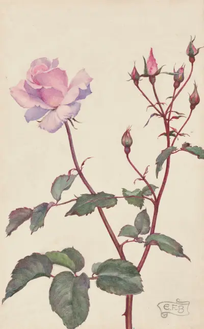 Lady Pirrie Rose av Eleanor Fortescue-Brickdale