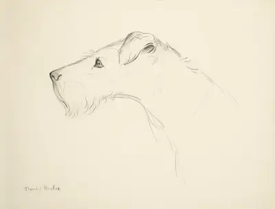 Hund i profil av Francis Picabia
