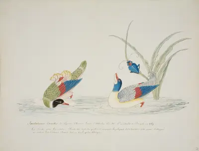 Dwie kaczki, Pierre Francois Ledoulx