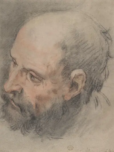 Head of a Bearded Man Looking Left av François Lemoyne