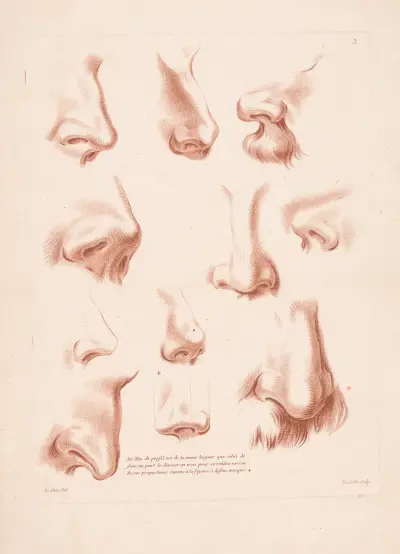 Jedenaście nosów z różnych perspektyw, Louis-François Roubiliac