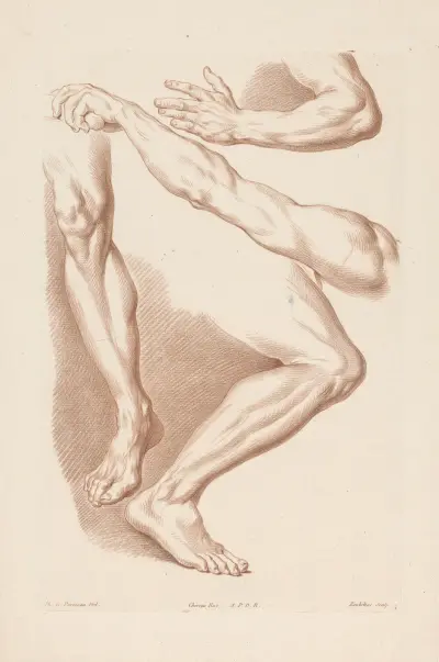 Two legs and two arms av Louis-François Roubiliac