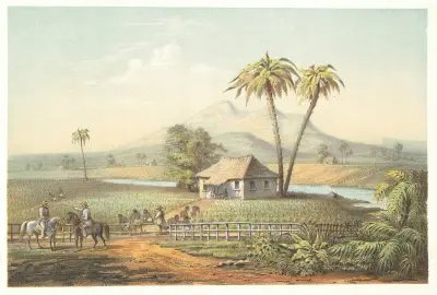 Vista de una vega de tabaco av Pierre Toussaint Frédéric Mialhe