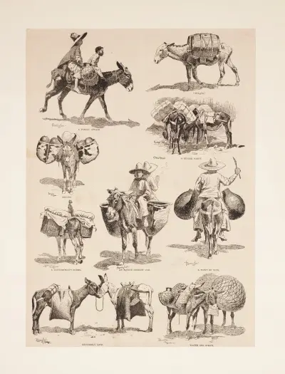 Mexikanska åsnor av Frederic Remington