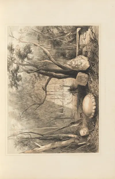 Pyramidal building and fragments of sculpture at Copan av Frederick Catherwood