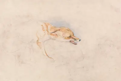 Studie av en hopkrupen räv, vänd åt höger av John Frederick Lewis