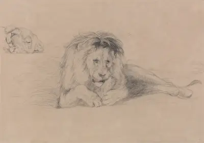 Study of a Lion and Study of a Lioness’ Head av John Frederick Lewis
