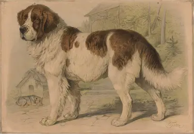Pes, Friedrich Specht