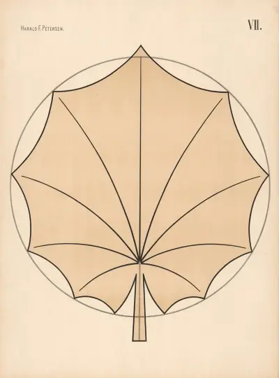 Elementary Freehand Drawing vol.2 Pl.07 av Harald Frithjof Petersen