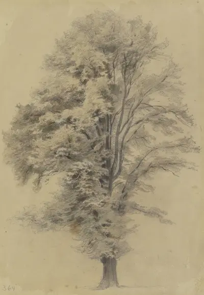 Large tree av Jakob Fürchtegott Dielmann