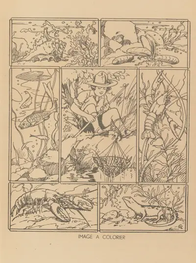 À Colorier Pl.13 av Gaston Marechaux