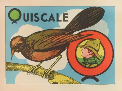 Quiscale av Gaston Marechaux