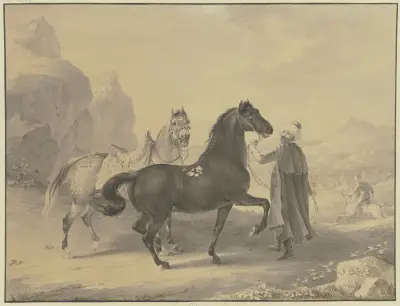 Turkish horses av Johann Georg Pforr